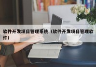 软件开发项目管理系统（软件开发项目管理软件）